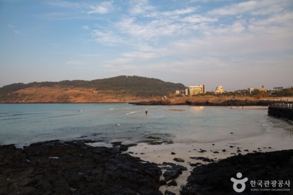3354602 image2 1